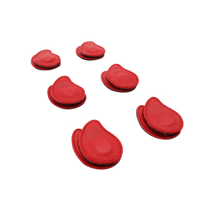 6 pack small biomagnetism magnets